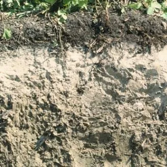 Clasificación del Suelo