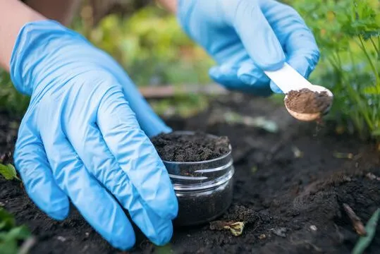 Composición del Suelo