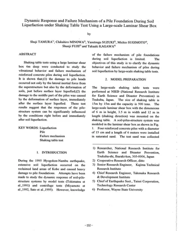 Más sobre Pilotes de Suelo en Geotecnia